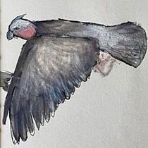 My project for course: From Botanical Drawings to Narrative Illustration. Traditional illustration, Drawing, Botanical Illustration, Narrative, and Naturalistic Illustration project by Pina Carrubba - 05.09.2024