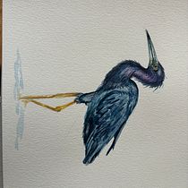 My project for course: Naturalist Bird Illustration with Watercolors. Ilustração tradicional, Pintura em aquarela, Desenho realista e Ilustração naturalista projeto de Lorena Botero - 28.05.2024