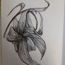 Il mio progetto del corso: Illustrazione su sketchbook con penna: sbaglia con stile. Sketching, Drawing, Sketchbook & Ink Illustration project by valentina.mascaro - 05.29.2024