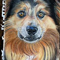 Mi proyecto del curso: Retratos de Mascotas en Lápices de Colores. Traditional illustration, and Naturalistic Illustration project by lauraruli029 - 05.30.2024