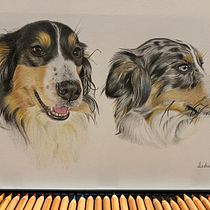 Il mio progetto del corso: Ritratto di animali da compagnia con matite colorate. Drawing project by Martina Ciampi - 05.30.2024