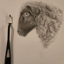 Mi proyecto del curso: Dibujo expresivo (oveja) con carboncillo. Fine Arts, Drawing, Portrait Drawing, and Naturalistic Illustration project by gabrielmedina2518 - 05.27.2024
