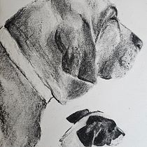 My project for course: Animal Illustration with Charcoal and Ink. Fine Arts, Drawing, Ink Illustration, and Naturalistic Illustration project by heba.makhlouf - 05.30.2024