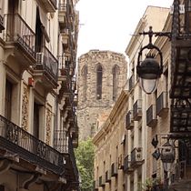 Mi proyecto del curso: Barcelona. Photograph, Digital Photograph, and Photographic Composition project by dunamolinacomellas - 06.01.2024