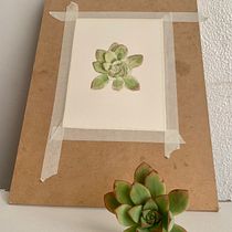 Mi proyecto del curso: Ilustración botánica en acuarela: Técnica del sombreado a rayas. Fine Arts, Painting, Watercolor Painting, and Botanical Illustration project by CAROLINA LEYTON - 06.02.2024
