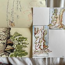 My project for course: Daily Sketching for Creative Inspiration. Traditional illustration, Sketching, Creativit, Drawing, and Sketchbook project by Despina Willson - 06.02.2024