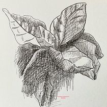 Mon projet du cours : Carnet de croquis : illustrez vos expériences personnelles. Traditional illustration, Sketching, Drawing, Sketchbook & Ink Illustration project by christiane_ravallec - 06.02.2024