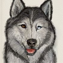 Mój projekt z kursu: Naturalistyczne ilustracje zwierząt w programie Procreate Ein Projekt aus dem Bereich Traditionelle Illustration, Digitale Illustration, Realistische Zeichnung und Naturalistische Illustration von Dorota Korcz - 02.06.2024
