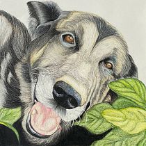 YAGUER. Drawing project by Diana Rangel - 06.01.2024