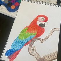 Meu projeto do curso: Pintura em aquarela: arte de aves e fauna naturalista. Un progetto di Belle arti, Disegno a matita, Disegno, Pittura ad acquerello, Disegno realistico e Illustrazione naturalistica di Barbara Monay - 03.06.2024