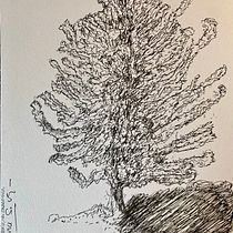 Mi proyecto del curso: Dibujo para principiantes nivel -1. Un proyecto de Dibujo a lápiz, Dibujo, Creatividad con niños y Sketchbook de Elma S. Vega - 04.06.2024