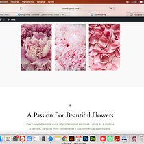 Mi proyecto del curso: Creación de una web profesional con WordPress. Projekt z dziedziny UX / UI, Informat, ka, Web design, Tworzenie stron internetow, ch, Programowanie bez kodu, Projektowanie produktu c i frowego użytkownika a_rodriguez - 31.05.2024