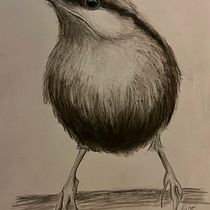 My project for course: Artistic Watercolor Techniques for Illustrating Birds. Traditional illustration, Watercolor Painting, Realistic Drawing, and Naturalistic Illustration project by Michael Lewis - 06.18.2024
