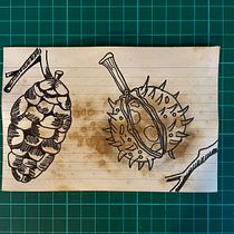 My project for course: Illustrated Travel Sketchbook: Recording Nature. Pencil Drawing, Drawing, Watercolor Painting, Sketchbook, and Naturalistic Illustration project by Louise Iddon - 06.10.2024