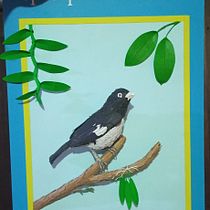 Mi proyecto del curso: espiguero andino . Un progetto di Design, Illustrazione tradizionale, Artigianato, Scultura e Papercraft di gabrielaldanasierra - 28.07.2024