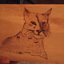 Mi proyecto del curso: Pirograbado en madera para principiantes. Projekt z dziedziny Craft, Trad, c, jna ilustracja i DIY użytkownika Mente Purpura - 08.06.2024