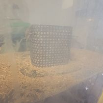 Mi proyecto del curso: Introducción al diseño e impresión en 3D, comedero para grillos. 3D, Design industrial, Design de produtos, Modelagem 3D, e 3D Design projeto de Enrique Tellez - 11.06.2024