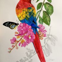 Meu projeto do curso: Pintura em aquarela: arte de aves e fauna naturalista. Un proyecto de Bellas Artes, Dibujo a lápiz, Dibujo, Pintura a la acuarela, Dibujo realista e Ilustración naturalista				 de Cleiber Vieira - 11.06.2024