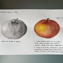 Meu projeto do curso: Caderno botânico em aquarela. Projekt z dziedziny Trad, c, jna ilustracja, Malowanie akwarelą, R, sunek botaniczn i Sketchbook użytkownika almeida96marina - 12.06.2024