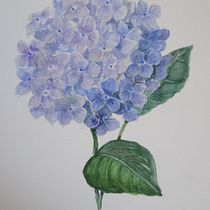Il mio progetto del corso: Illustrazioni botaniche ad acquerello: tecnica del tratteggio. Fine Arts, Painting, Watercolor Painting, and Botanical Illustration project by a_bertoni52 - 06.13.2024