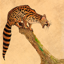 Genetta genetta. Traditional illustration, Watercolor Painting, Realistic Drawing, and Naturalistic Illustration project by Adrian Yugo - 06.16.2024
