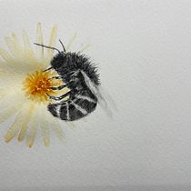 My project for course: Illustrating the Natural World with Watercolor and Charcoal. Traditional illustration, Painting, and Naturalistic Illustration project by Diane Holland - 06.17.2024