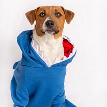 Mi proyecto del curso: Introducción a la fotografía de perros. Un projet de Photographie, Photographie de portrait, Photographie de studio, Photographie documentaire, Photographie lifest, le , et Photographie intérieure de Yamm Ledesma - 18.06.2024