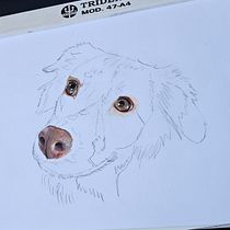 Meu projeto do curso: Retratos de pets a lápis de cor. Traditional illustration, and Naturalistic Illustration project by vaarruda_jornalista - 06.20.2024