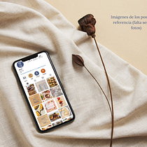 Mi proyecto del curso: Diseño de feed de Instagram con Canva. Projekt z dziedziny Projektowanie graficzne, Marketing, Portale społecznościowe, Instagram, Projektowanie c i frowe użytkownika Ariadna Rojas - 17.06.2024