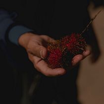 My project for course: Lifestyle and Travel Photography - Ratchaburi - Thailand. Un proyecto de Fotografía, Fotografía en exteriores, Fotografía Lifest y le de Curtis Hughes - 17.06.2024