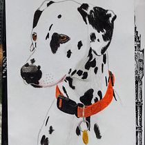 Mi proyecto del curso: Retratos de Mascotas en Lápices de Colores. Traditional illustration, and Naturalistic Illustration project by Yeimi Wagner - 06.18.2024