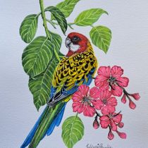 My project for course: Watercolor Painting: Naturalistic Birds and Wildlife Art. Un proyecto de Bellas Artes, Dibujo a lápiz, Dibujo, Pintura a la acuarela, Dibujo realista e Ilustración naturalista				 de Juliana Buglia - 22.06.2024