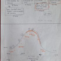 Mi proyecto del curso: Trucos de productividad con base científica: supera los bloqueos creativos. Consultoria criativa, Gestão de design, Criatividade, e Gestão e produtividade projeto de eliza20096 - 22.06.2024