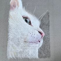 My project for course: Pet Portraits in Colored Pencils. Traditional illustration, and Naturalistic Illustration project by Lenky Novak - 06.24.2024