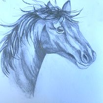 My project for course: Realistic Wildlife Images in Graphite Pencil. Un projet de Beaux Arts, Dessin, Dessin réaliste et Illustration naturaliste de nnanc - 24.06.2024
