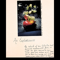 My project for course: Visual Poetry Diary: tell stories with photos and verses. Portrait Photograph, Digital Photograph, Fine-Art Photograph, Lifest, le Photograph, and Self-Portrait Photograph project by Radinka Ustasia - 06.15.2024