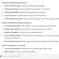 Mi proyecto del curso: Usar Chat GPT para trabajar. Creative Consulting, Design Management, Management, Productivit, Business, Artificial Intelligence, and ChatGPT project by Abigail Adle - 06.25.2024