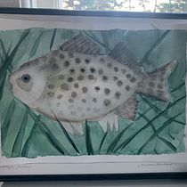 My project for course: Marine Universe Illustration in Watercolor. Un projet de Illustration traditionnelle, Peinture, Aquarelle et Illustration naturaliste de Hege - 25.06.2024