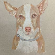 Mi proyecto del curso: Retratos de Mascotas en Lápices de Colores. Traditional illustration, and Naturalistic Illustration project by Angela González - 06.26.2024