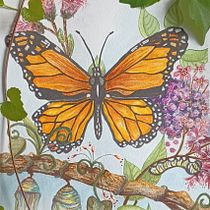 Mon projet du cours : Aquarelle botanique : peindre le monde naturel. Artes plásticas, Pintura, Pintura em aquarela, Ilustração botânica e Ilustração naturalista projeto de Michelle Guay - 27.06.2024