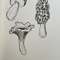 My project for course: Daily Sketching for Creative Inspiration. Traditional illustration, Sketching, Creativit, Drawing, and Sketchbook project by adela.srutova - 06.27.2024