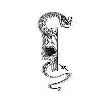 Mi proyecto del curso: Ilustración de tatuajes blackwork desde cero. Un projet de Illustration traditionnelle, Dessin, Illustration numérique, Conception de tatouage , et Dessin numérique de Jhon anderson Portilla castañeda - 25.06.2024