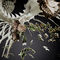 My project for course: 3D jewel-like designs inspired by nature. Un projet de 3D , et Modélisation 3D de wiggi - 27.06.2024