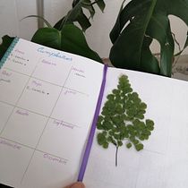 Mi proyecto del curso: Cuaderno de viajes: documenta emociones y recuerdos. Sketchbook, Narrative, Non-Fiction Writing, and Creative Writing project by lesliecsv - 06.26.2024