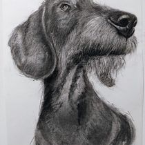 Il mio progetto del corso: Disegno espressivo al carboncino Ein Projekt aus dem Bereich Bildende Künste, Zeichnung, Porträtzeichnung und Naturalistische Illustration von cirophoto - 29.06.2024