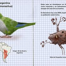 Mi proyecto del curso: Cuaderno de viaje ilustrado: registra la naturaleza. Pencil Drawing, Drawing, Watercolor Painting, Sketchbook, and Naturalistic Illustration project by Luis Caila - 06.30.2024