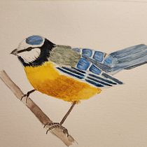 My project for course: Naturalist Bird Illustration with Watercolors. Ilustração tradicional, Pintura em aquarela, Desenho realista e Ilustração naturalista projeto de Judith Umlauf - 30.06.2024
