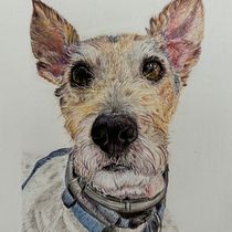 Mi proyecto del curso: Retratos de Mascotas en Lápices de Colores. Traditional illustration, and Naturalistic Illustration project by elizamalamujer_1 - 07.01.2024