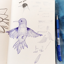My project for course: "Sketchbook Illustration with Pen: Embracing Mistakes by Marco Mazzoni". Esboçado, Desenho, Sketchbook e Ilustração com tinta projeto de Ngoc Thanh Phuong Nguyen - 04.06.2024