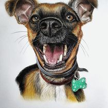 Meu projeto do curso: Retratos de pets a lápis de cor. Traditional illustration, and Naturalistic Illustration project by rcnobre - 07.05.2024
